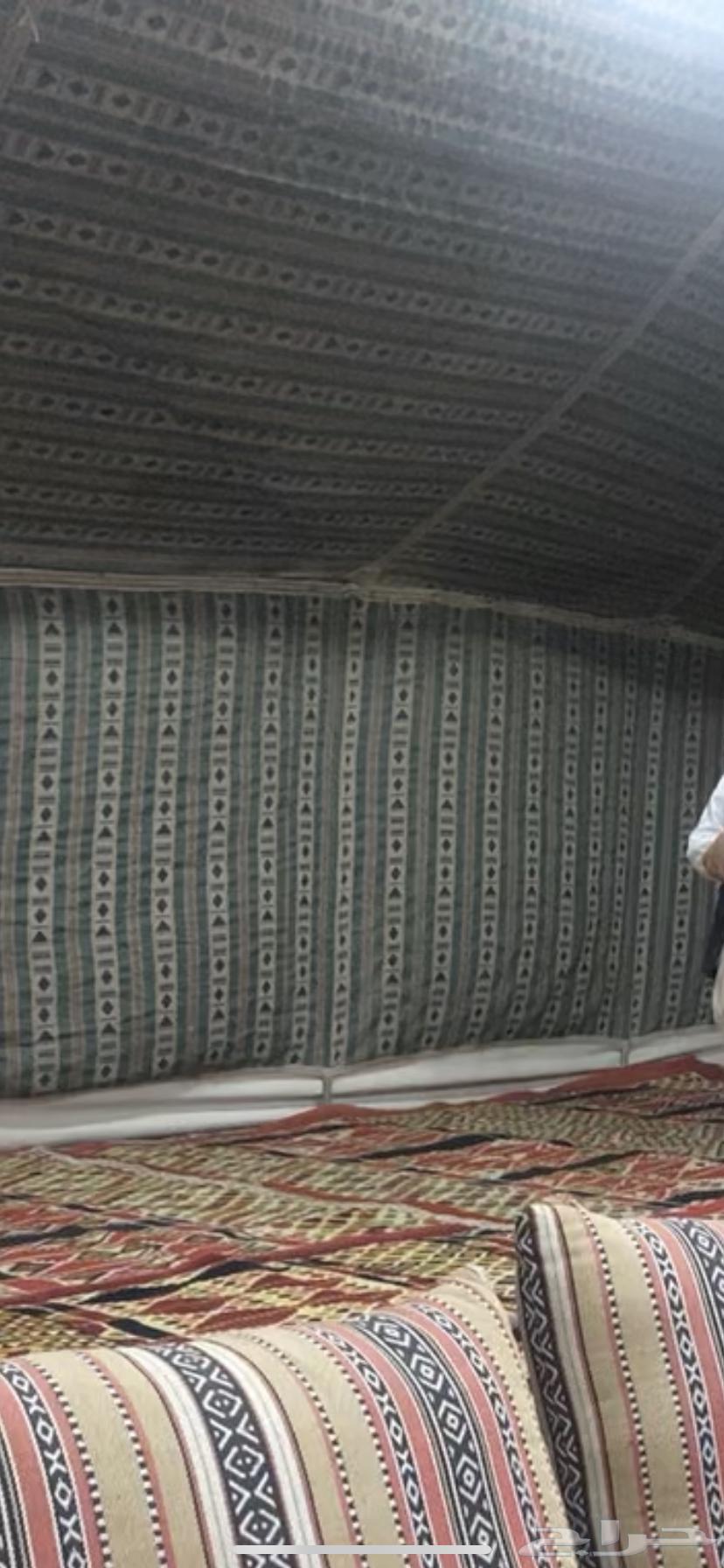 لبييع خيمه بيتيه64334447928065110