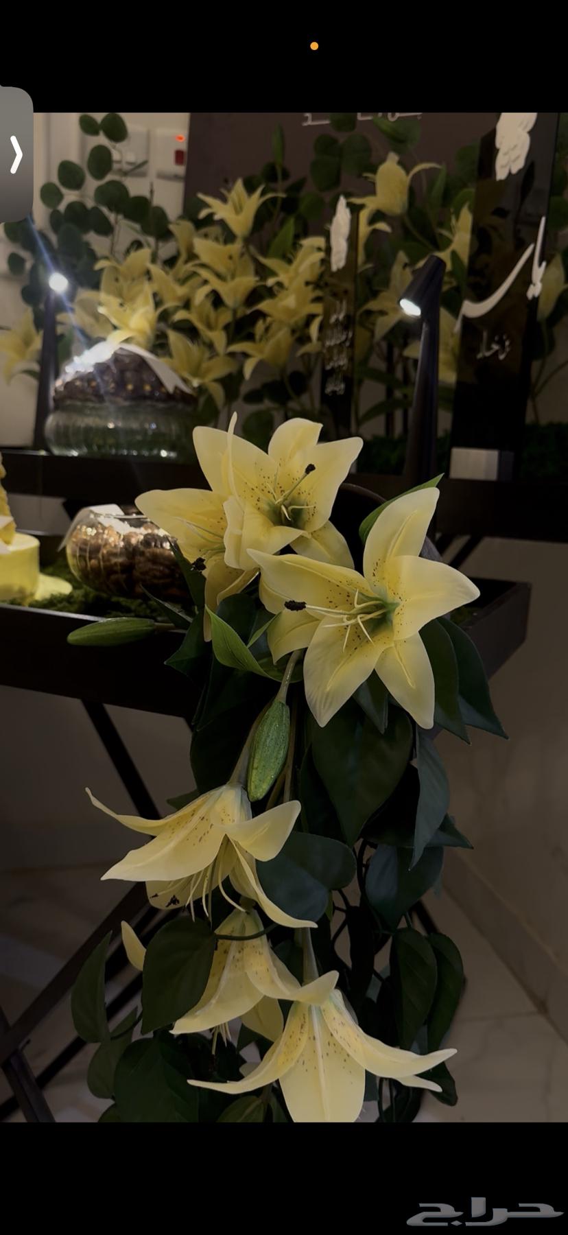 Flower Reception Meter with a Flower in a Vase64325619479043111