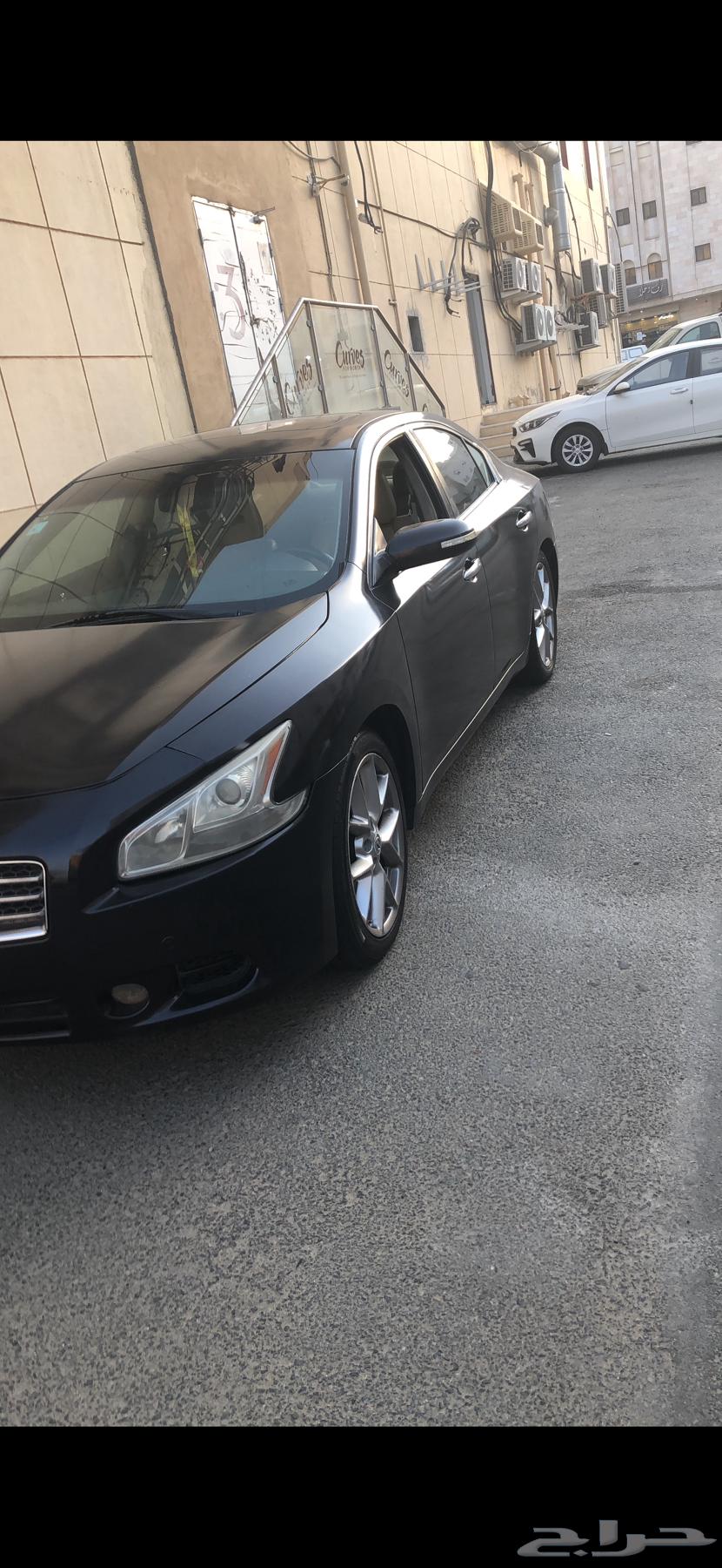 نيسان مكسيما 201064467200394755110