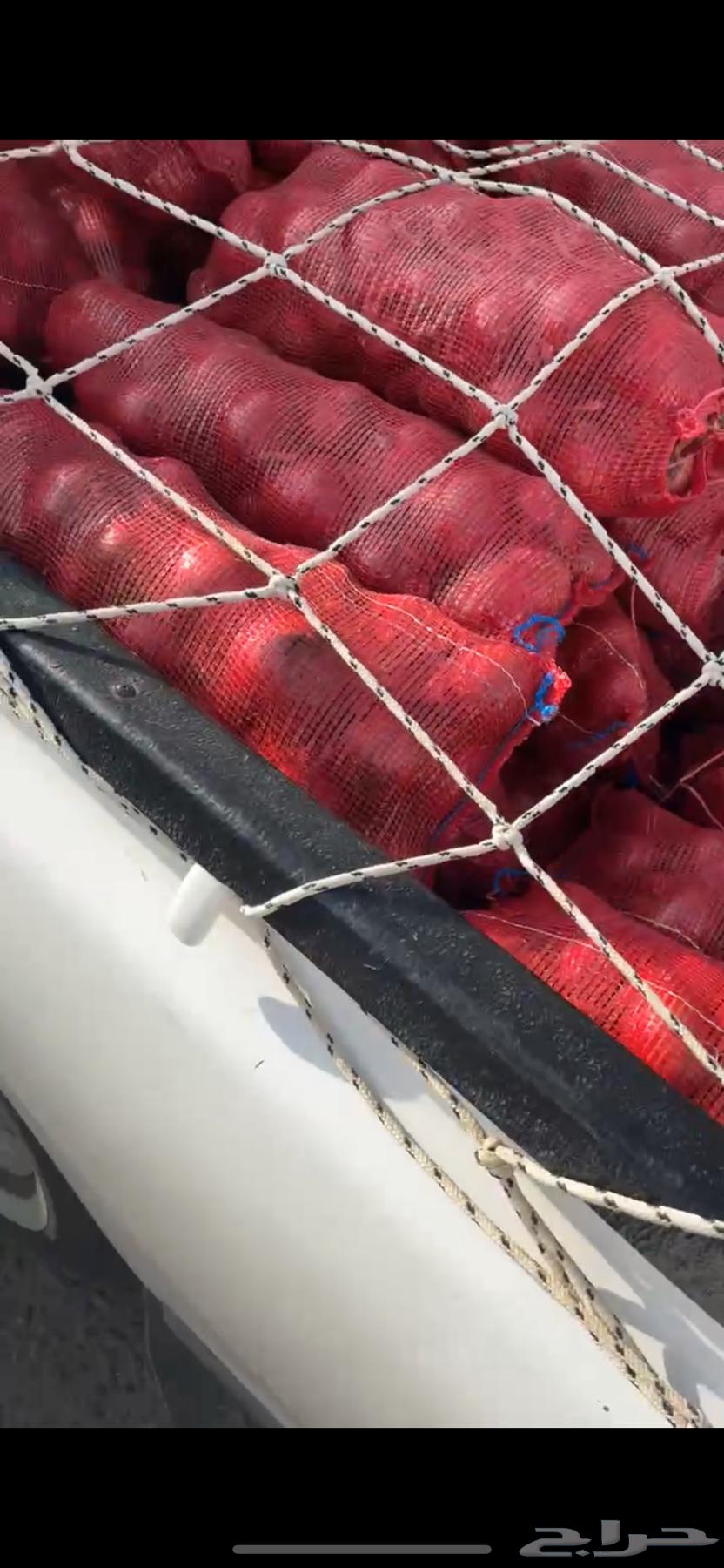 بصل للبيع جمله وتفريد64328931261825111