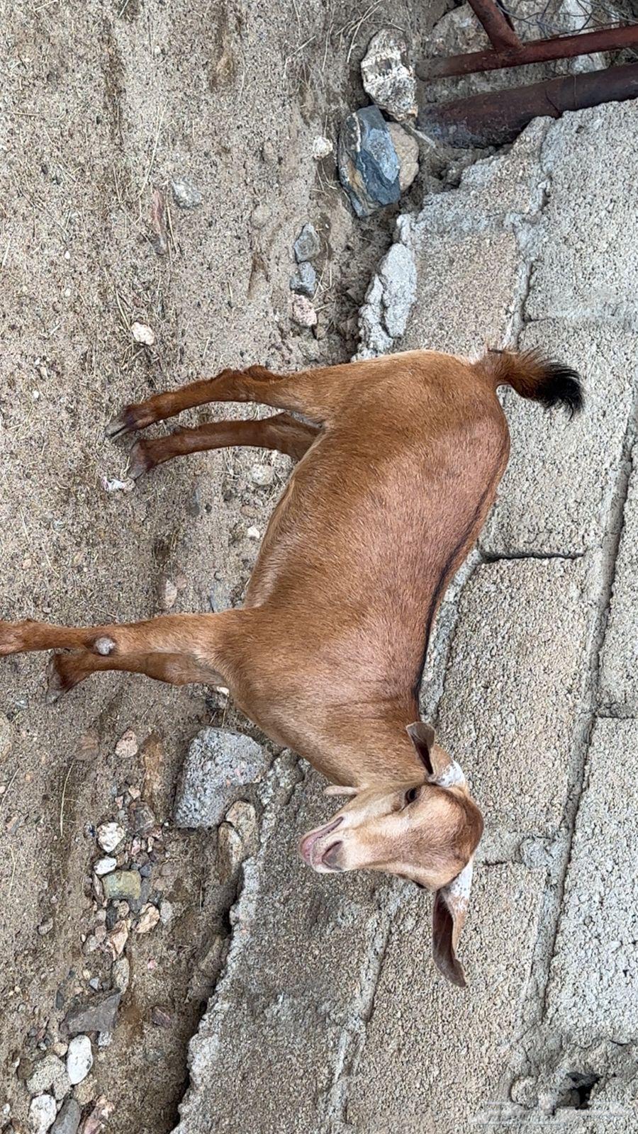 Hug64331855173506110