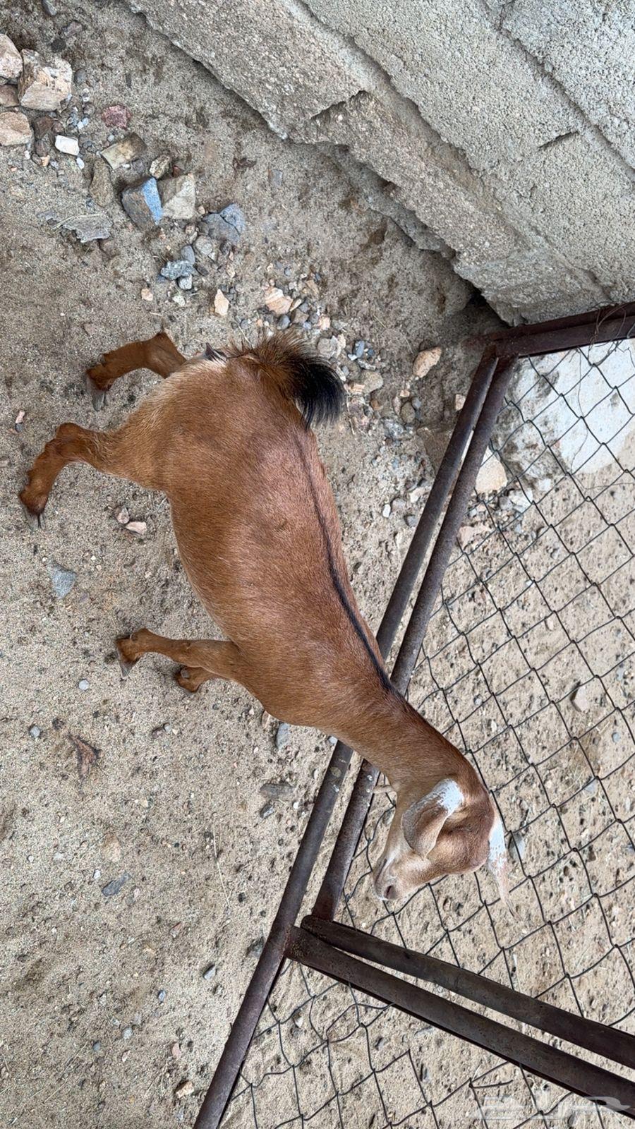 Hug64331855173506112