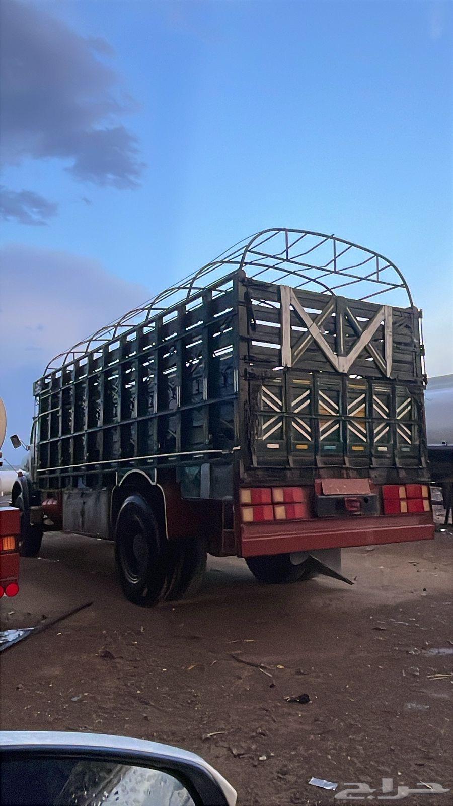 صندوق لوري دار مازار للبيع64466122971905110