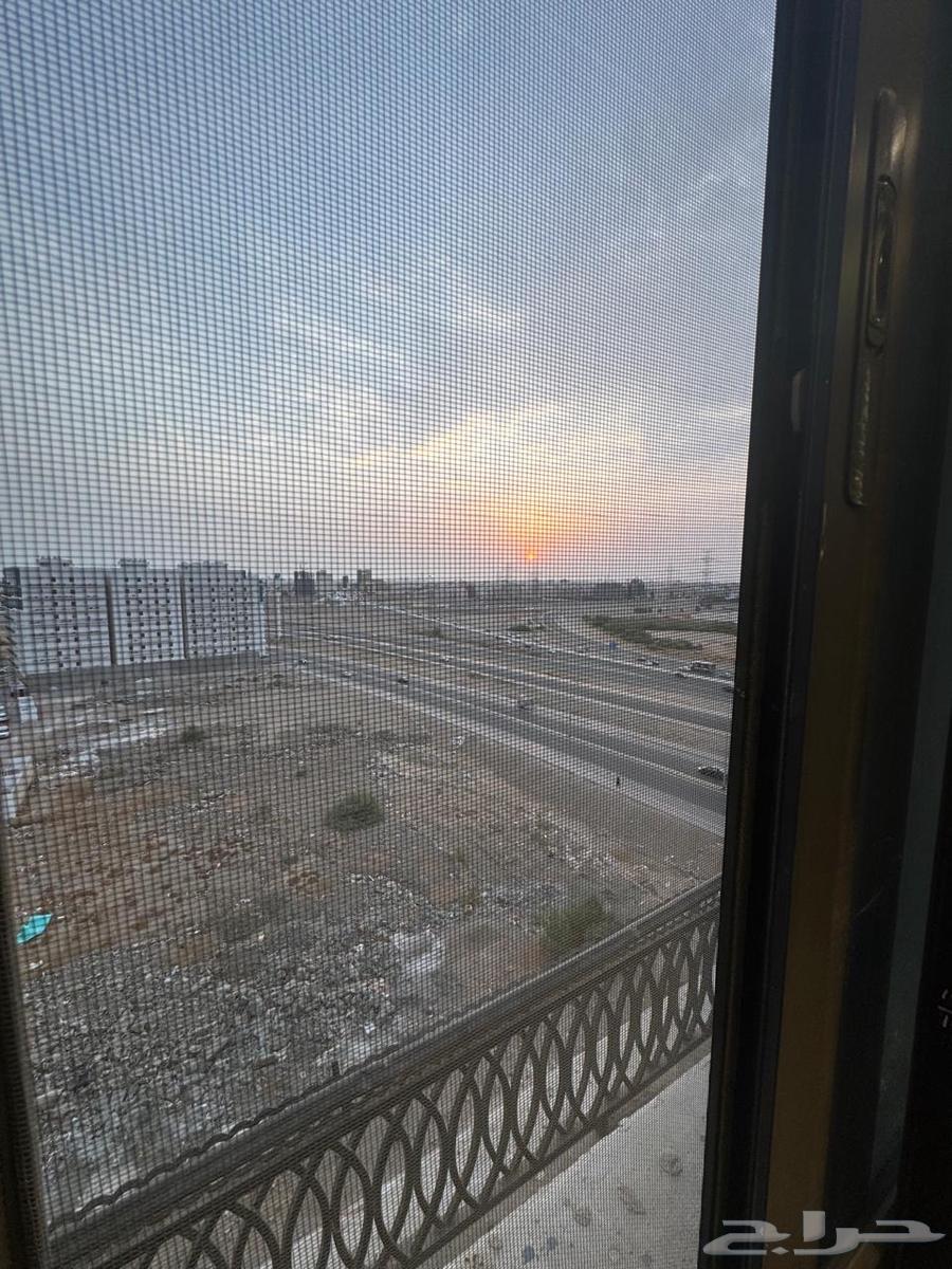 شقة للإيجار