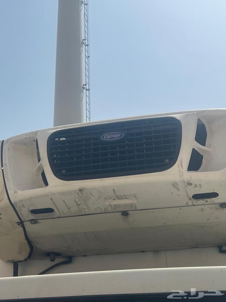 دينا نظيفة للايجار الشهري64472089795075110