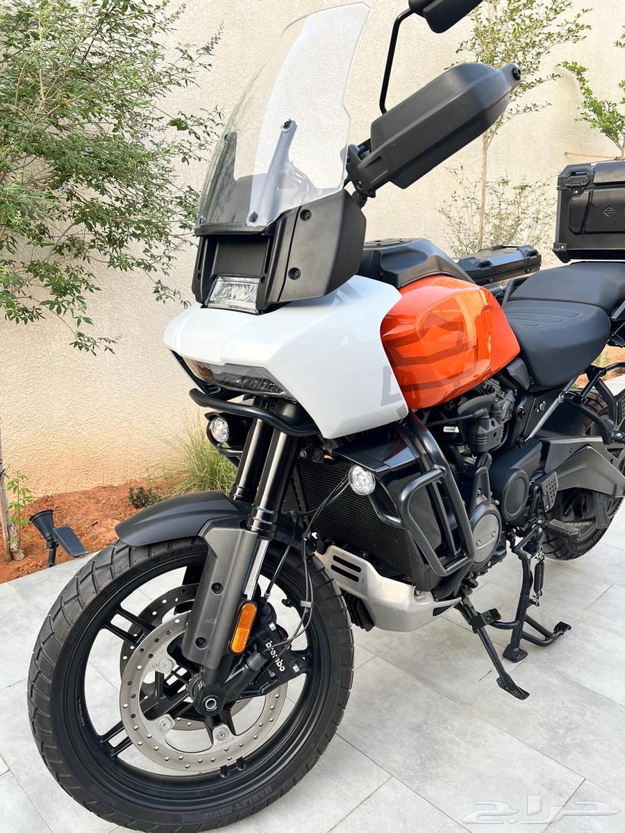 للبيع هارلي - بان امريكا ادفنشر 202164471622045443113