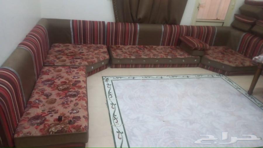 كنب للبيع نضيف64347720311042110