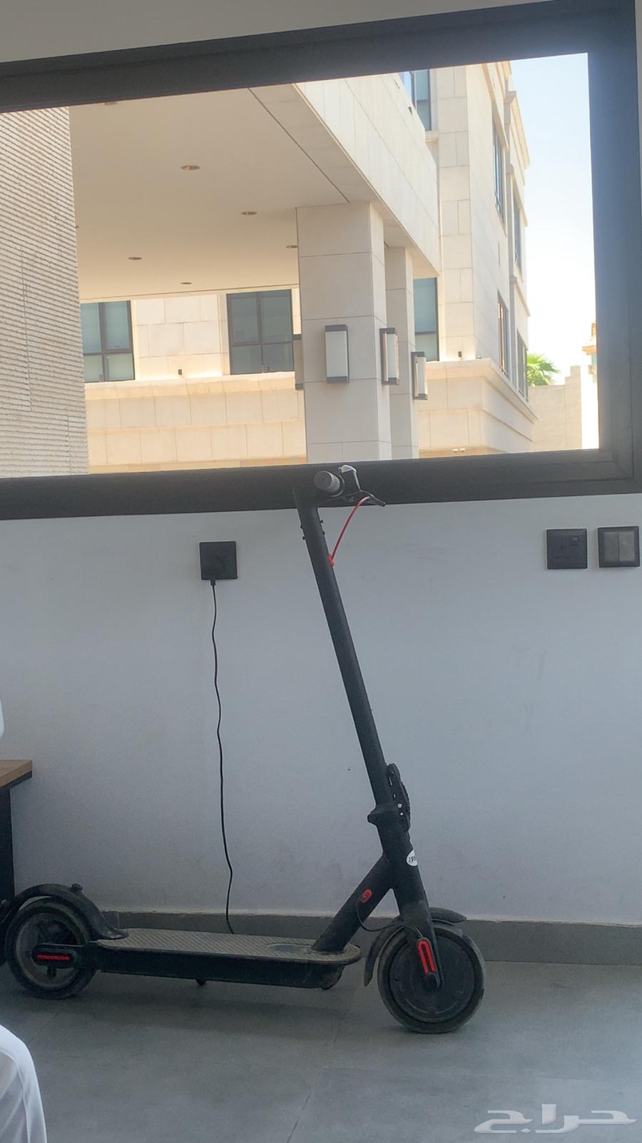 Scooter64339705462274110