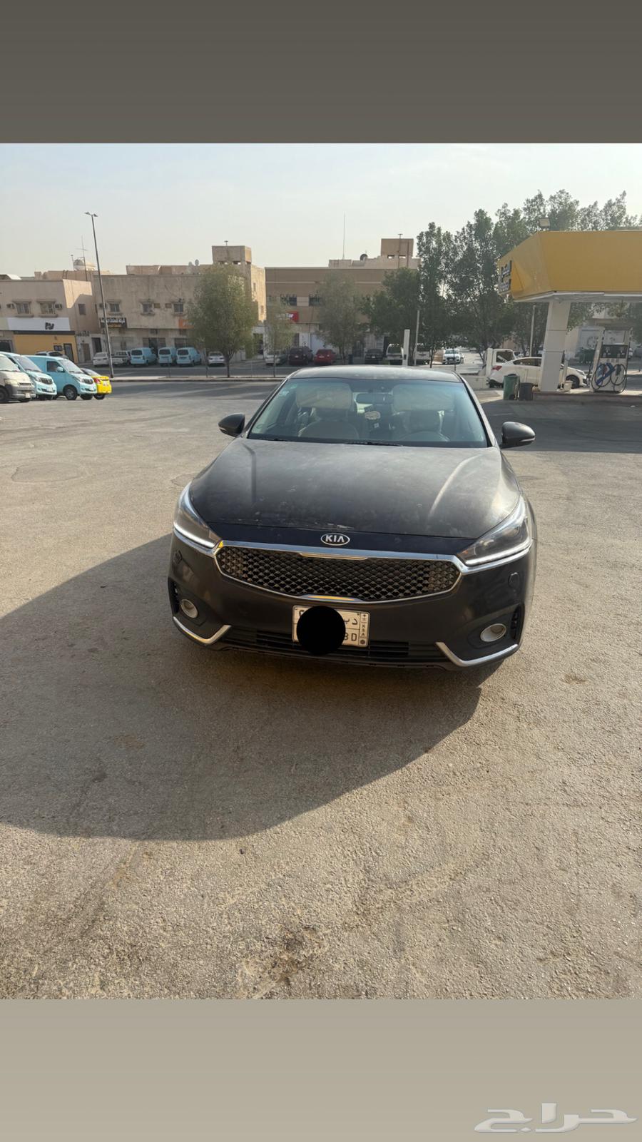 كادينزا ستاندر للبيع64481402805633110