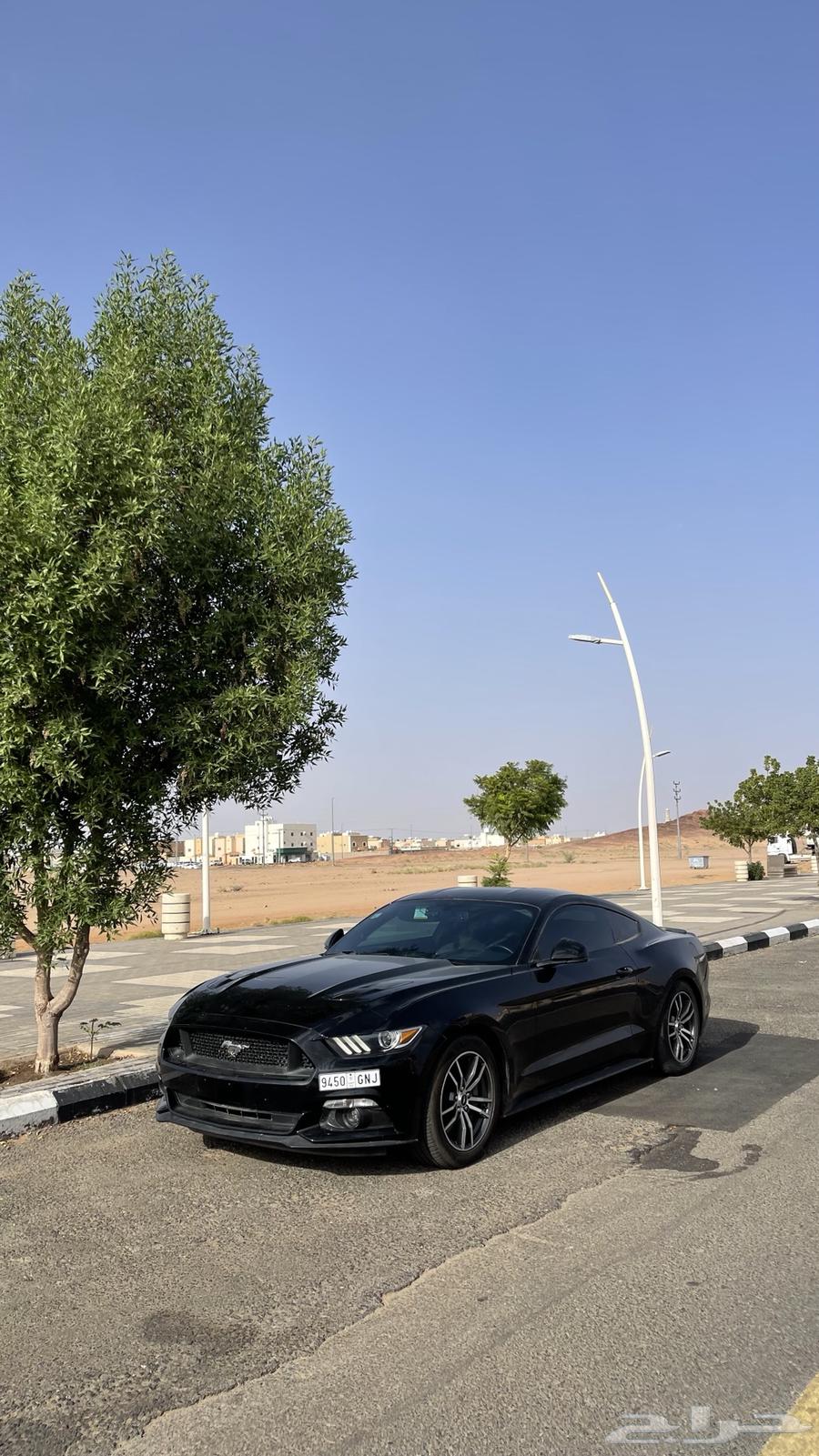 موستنج 2015 ممشى 11 الف (مخزن)64490966165633110