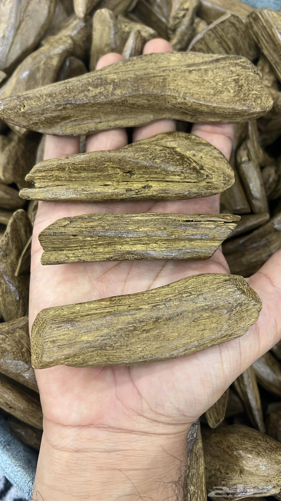 Moroccan Oud, Premium Quality for Burning Incense64339765754755110