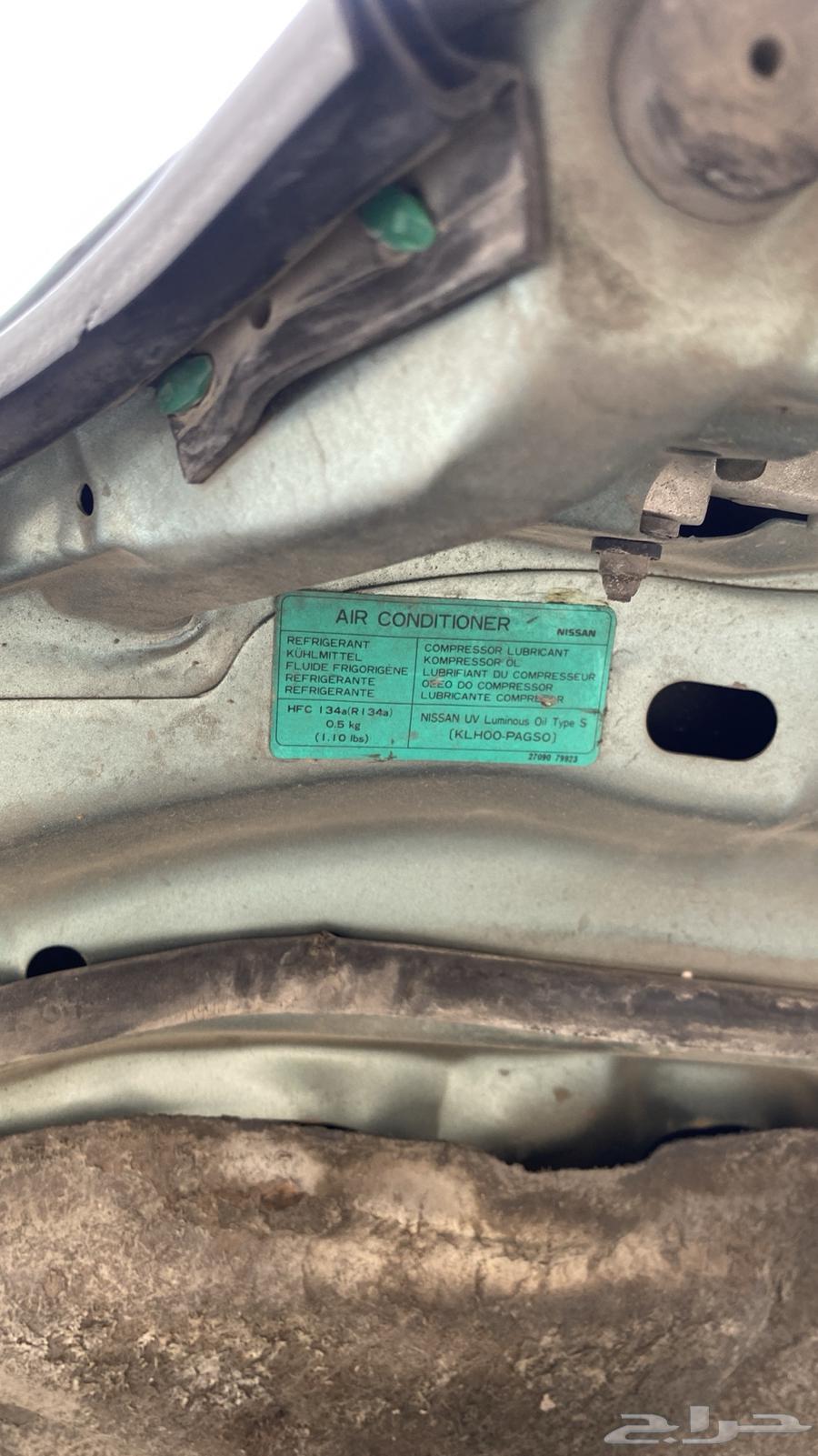 مكسيما 2003 فل كامل64483314863619114