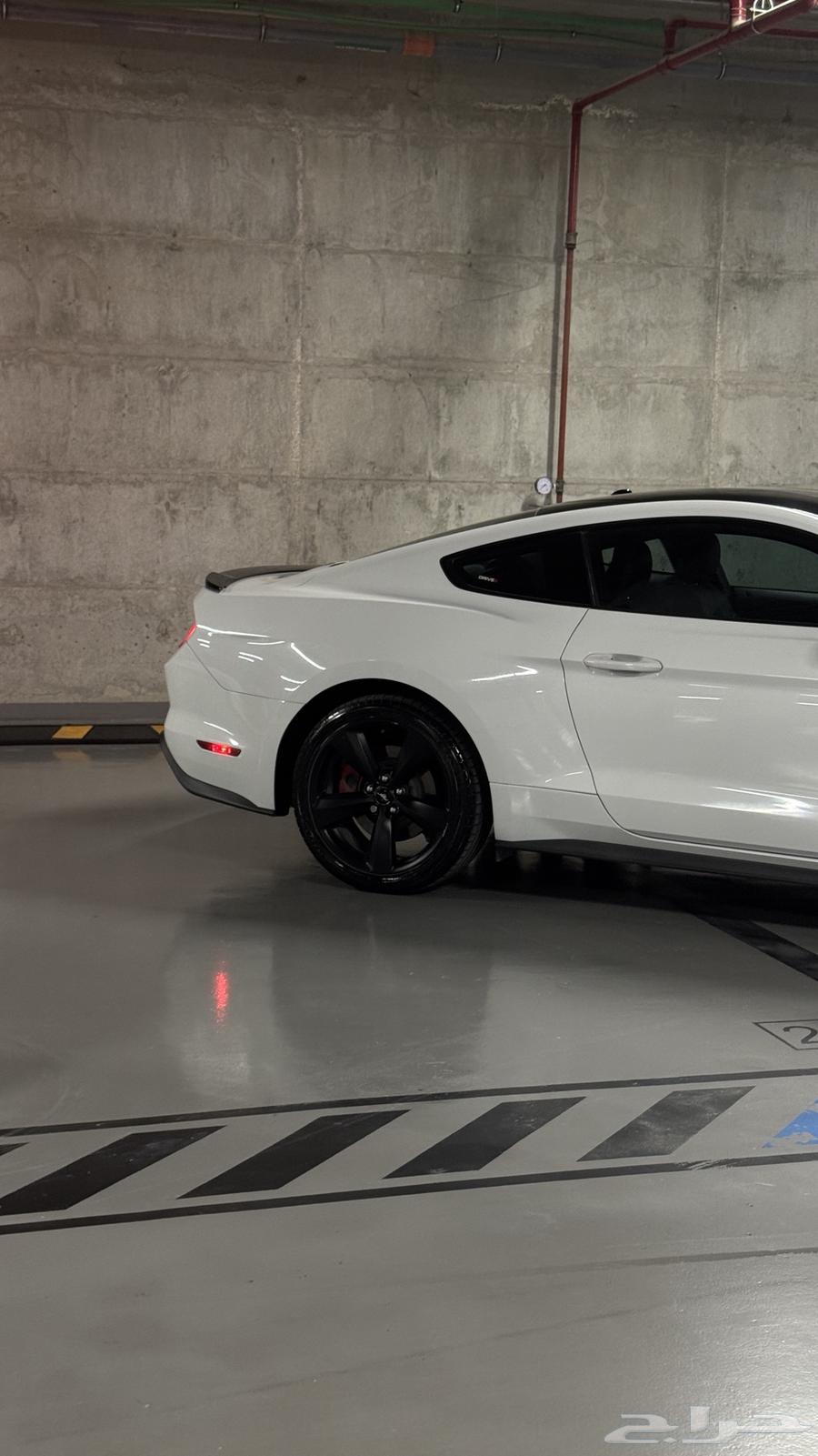 للبيع موستنق بريميوم GT 5 0 201864485971633667114