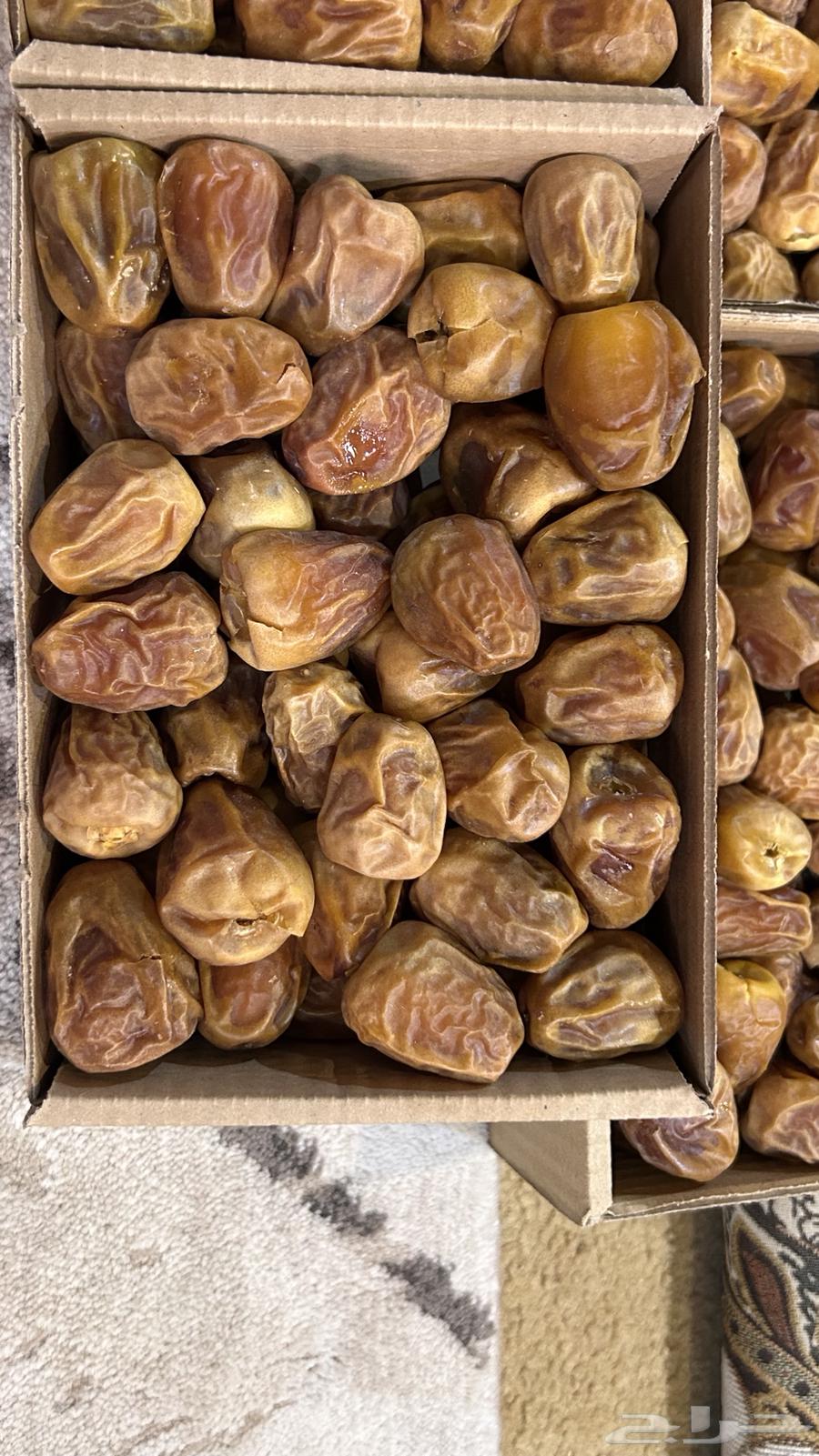 Al-Qassim Sukkari Mafatl Dates64343509260418112