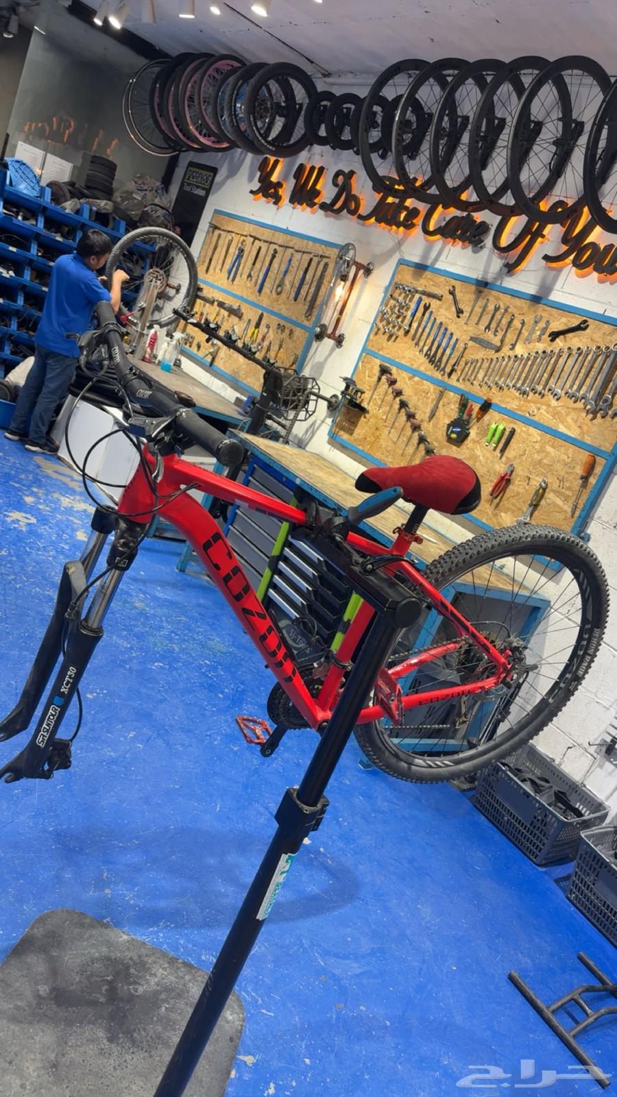 دراجه كوزون جبلي64343027639939110