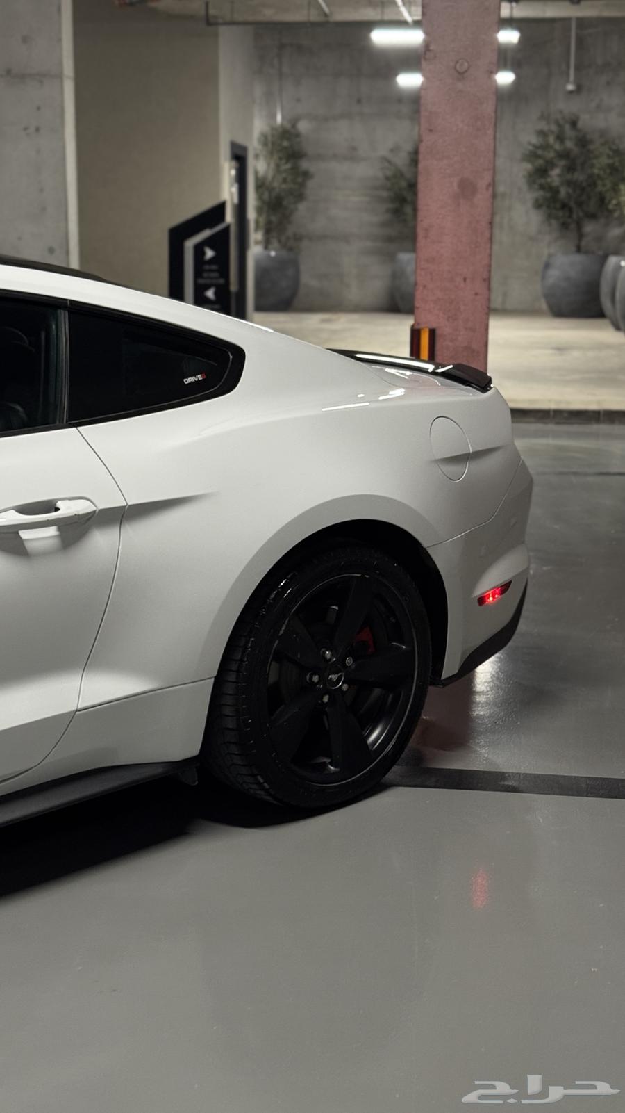 للبيع موستنق بريميوم GT 5 0 201864485971633667113