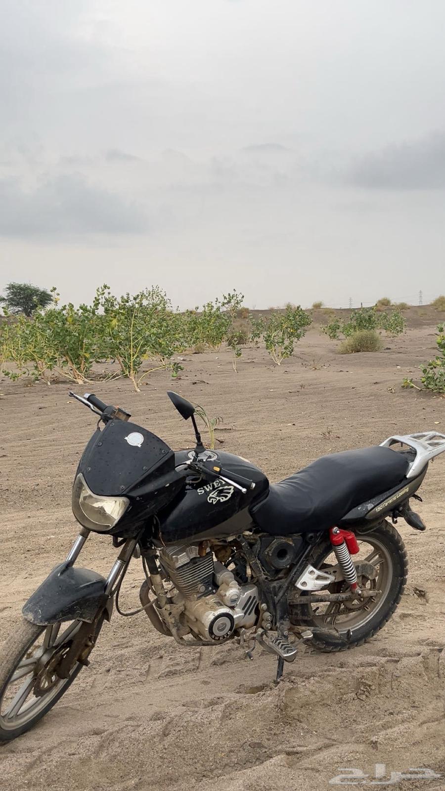 دباب سويدي بلوف Sd-150 المجنح64481237092482111