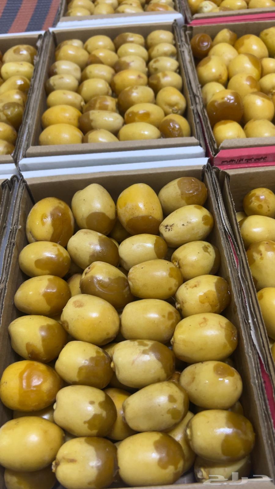 هلالي64342441884418110