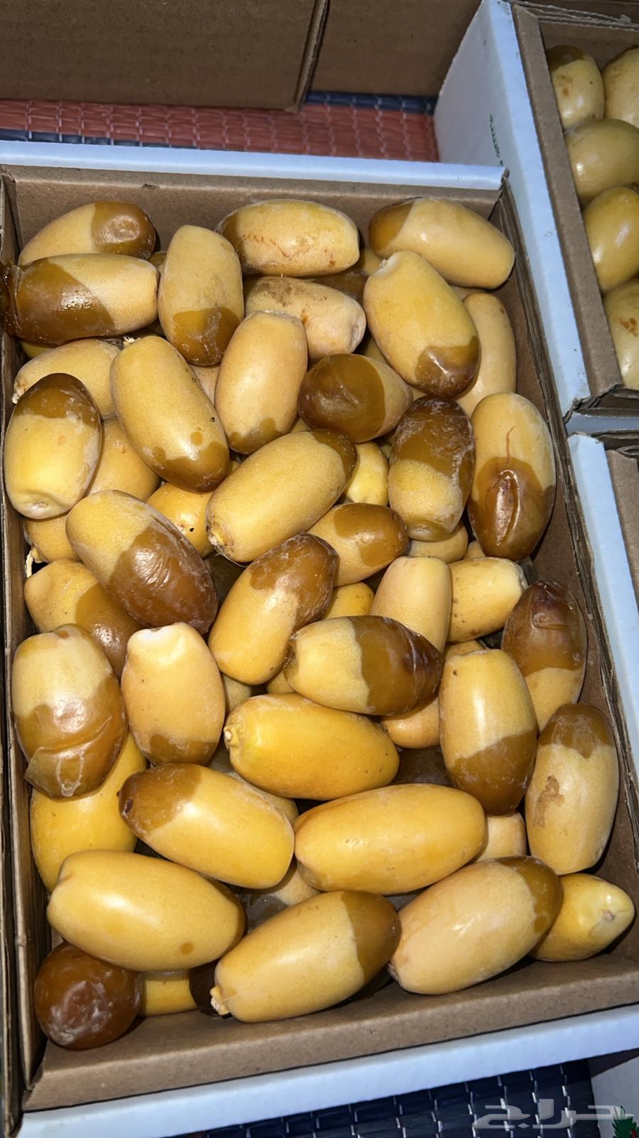 هلالي64342441884418112