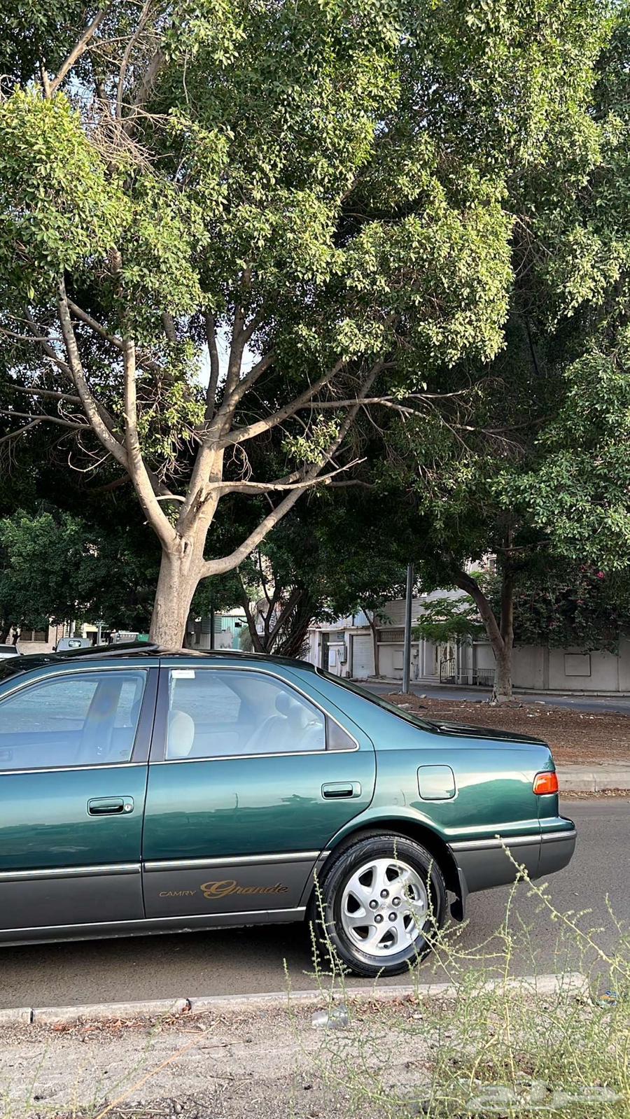 Clean Camry 9964510605549570112