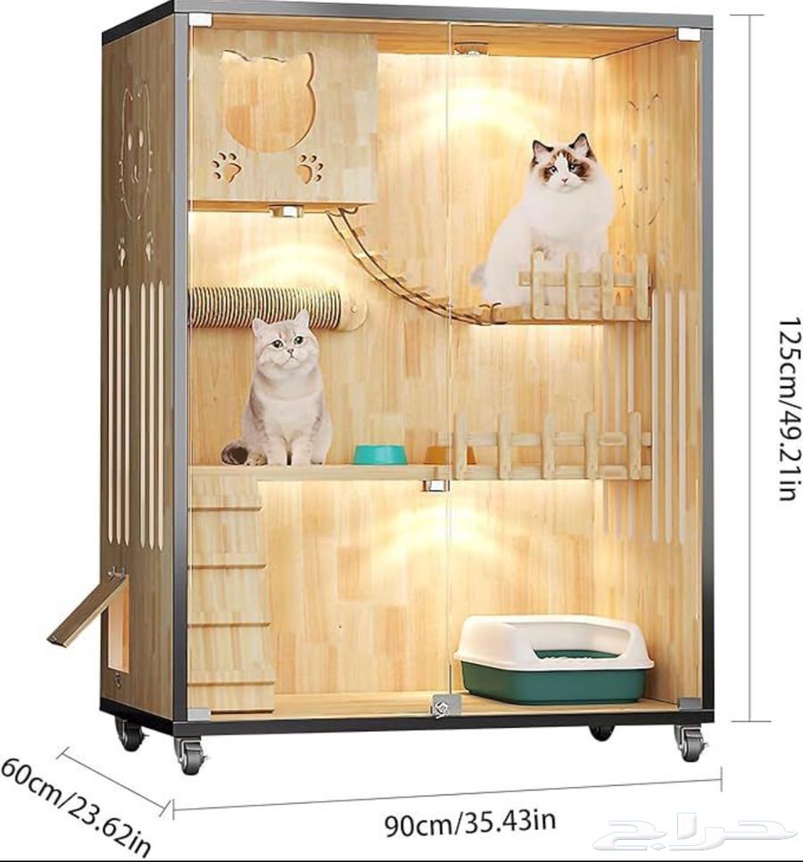 بيت قطوه جديد64345240378370110