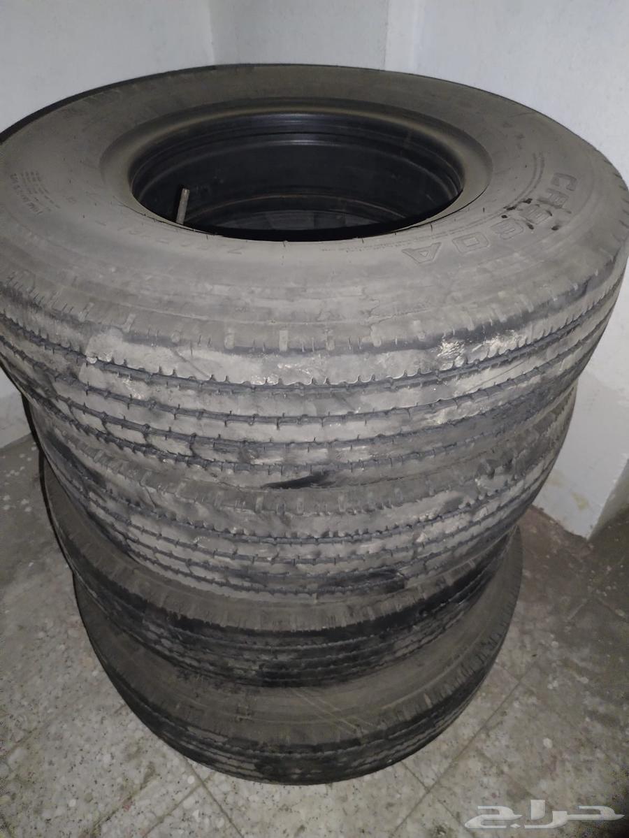 Kafarat Dina Size 750 with Lestak and Shanbar64480482640002110