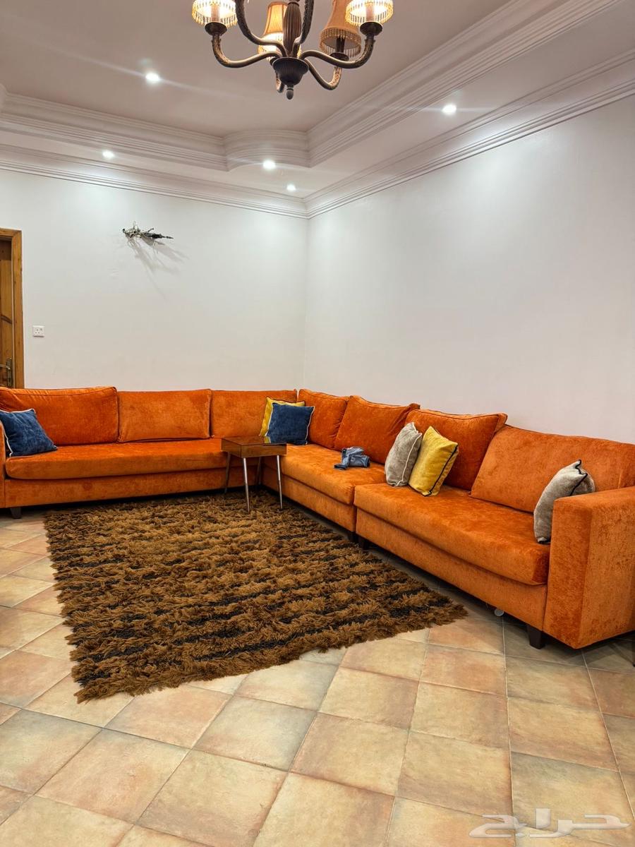 كنب نظيف للبيع64337931167363110