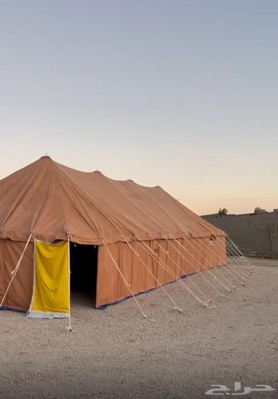 خيمة كبيره للبيع64348392863617110