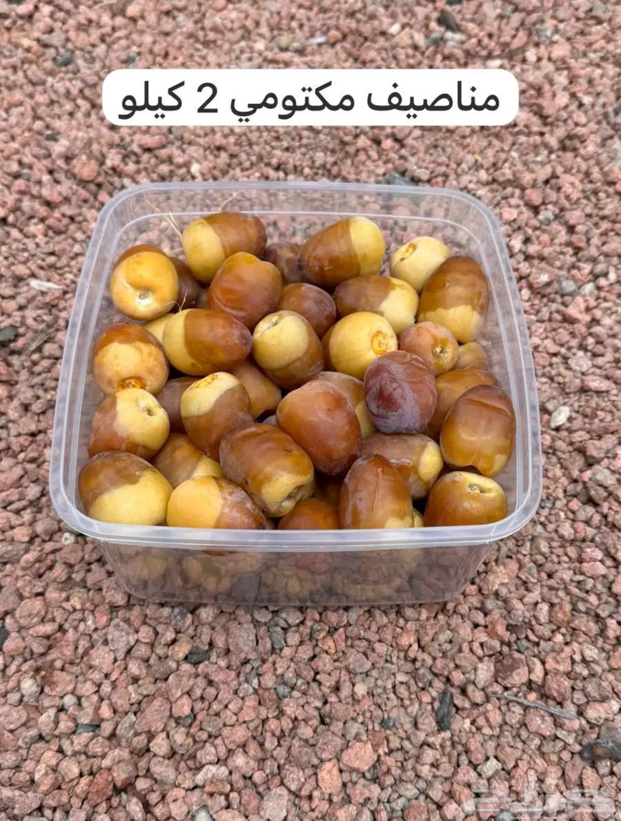 Hail Dates Fresh and Halves64344643241731113