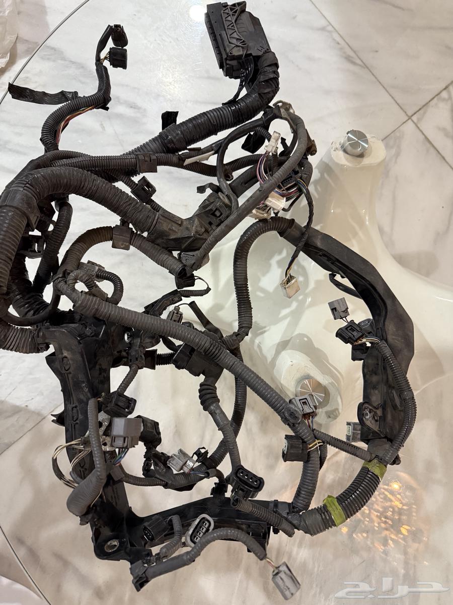 Camry Timing Belt 2012 - 2017 - 4 Cylinder64492067191298113