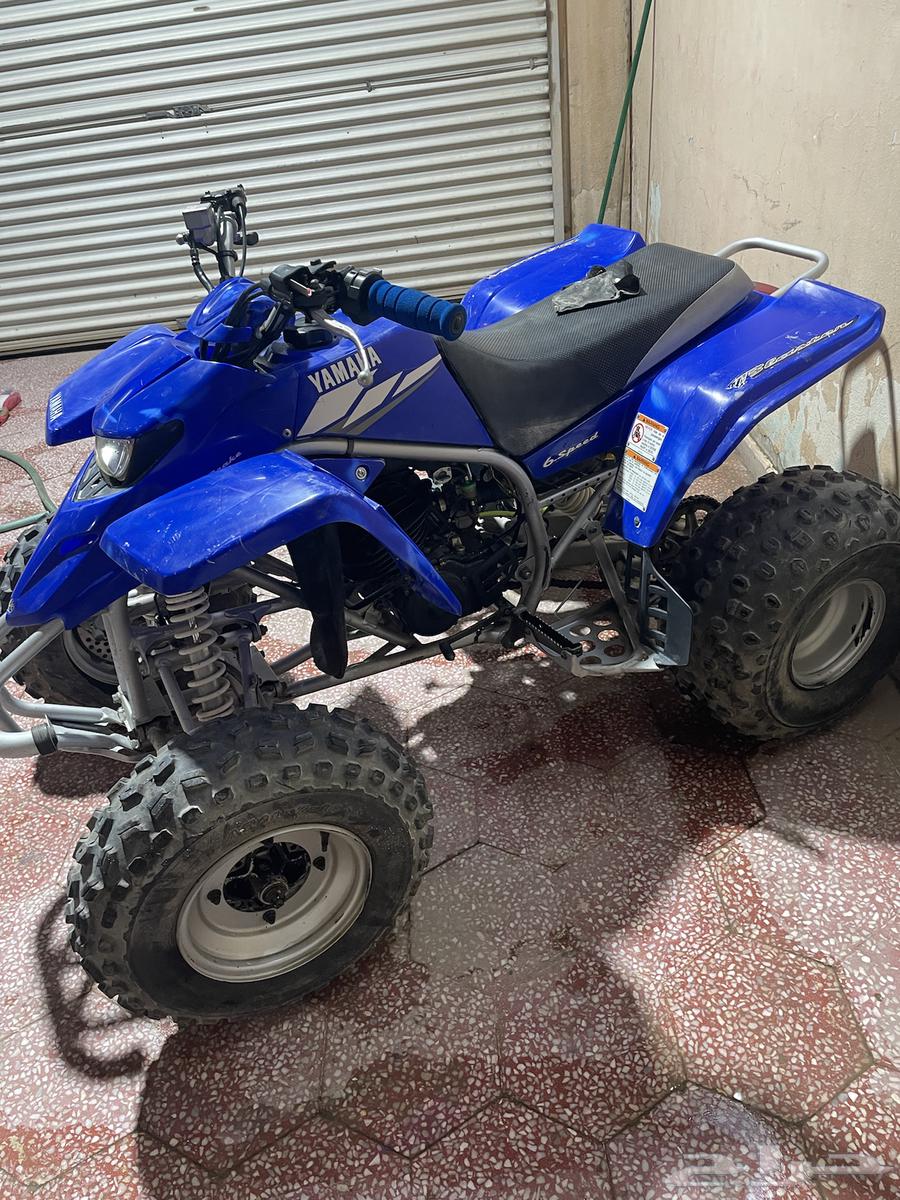 للبيع بانشي بلاستر 200 وكالة64492907402499113