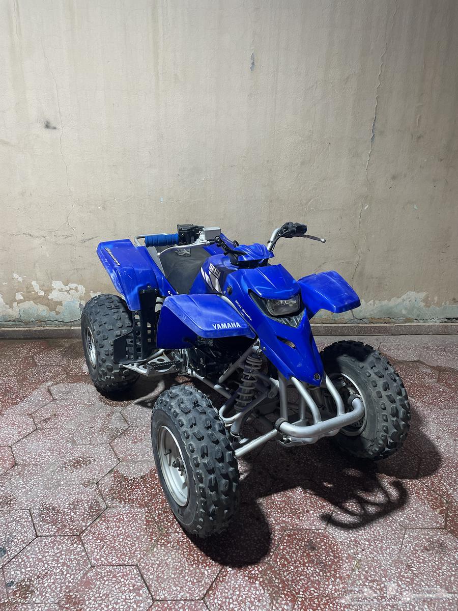 للبيع بانشي بلاستر 200 وكالة64492907402499110