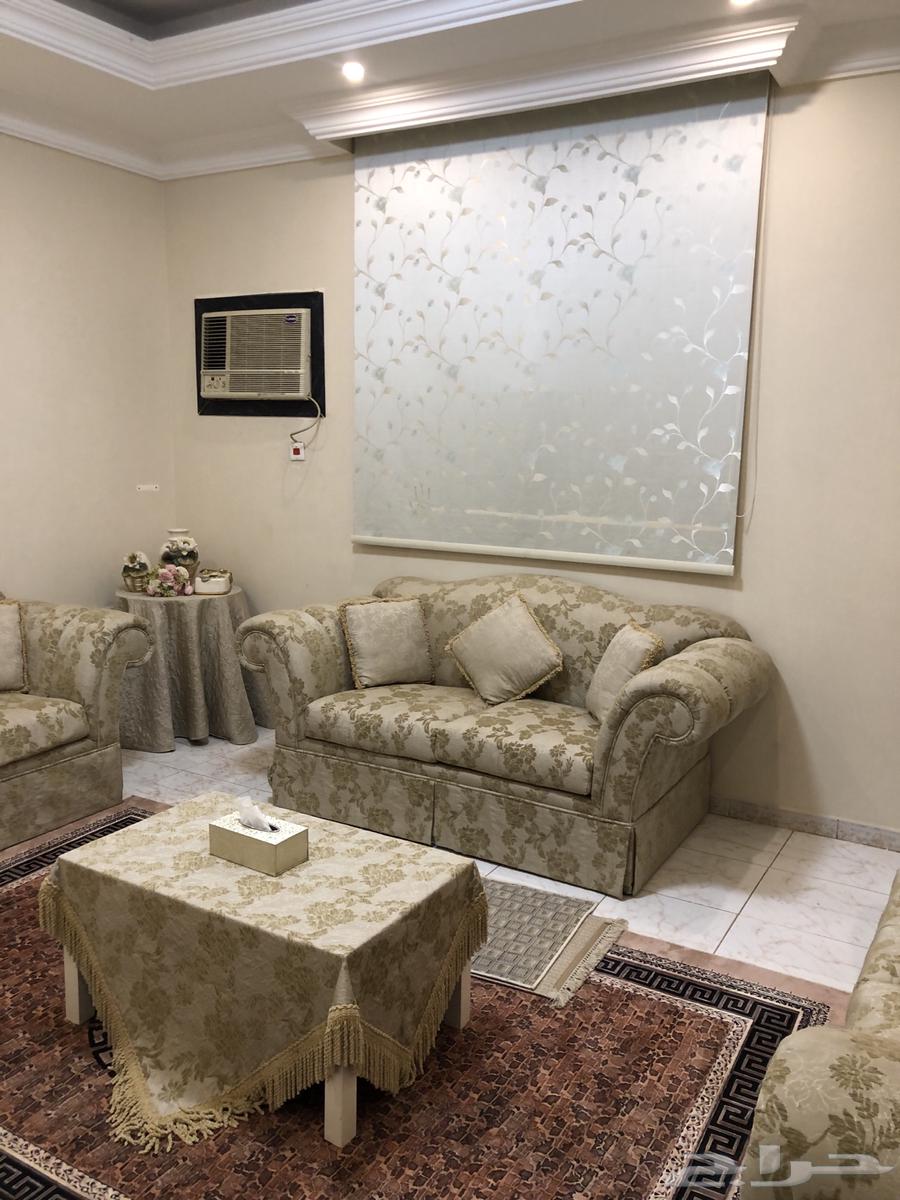 كنب مجلس نظيفه وعالي الجوده64346399265667112