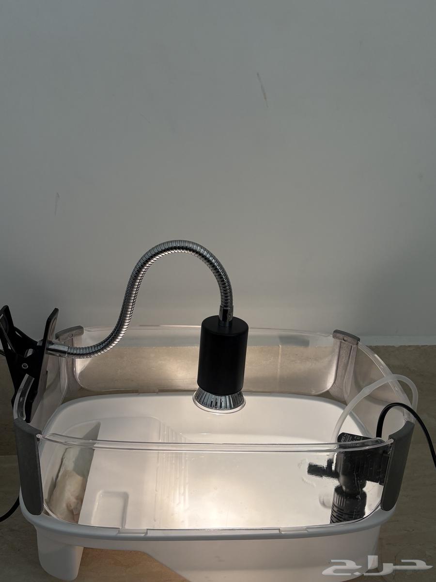 Turtle tank with all equipment64345180363011111