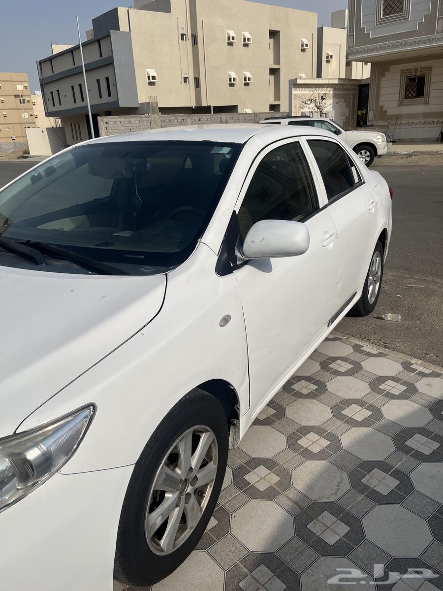 كوريلا 2012 للبيع64488629979394112