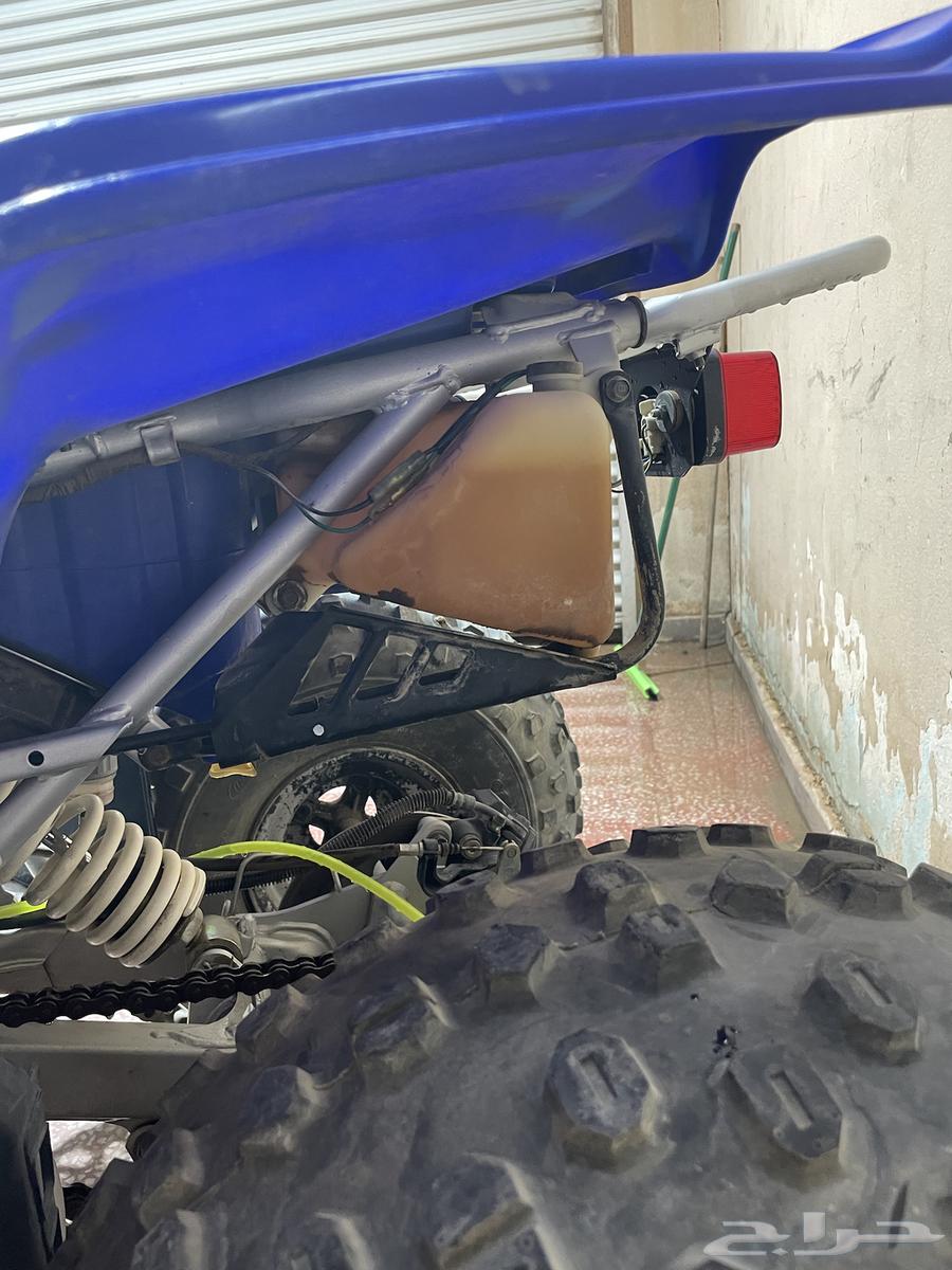 للبيع بانشي بلاستر 200 وكالة64492907402499114