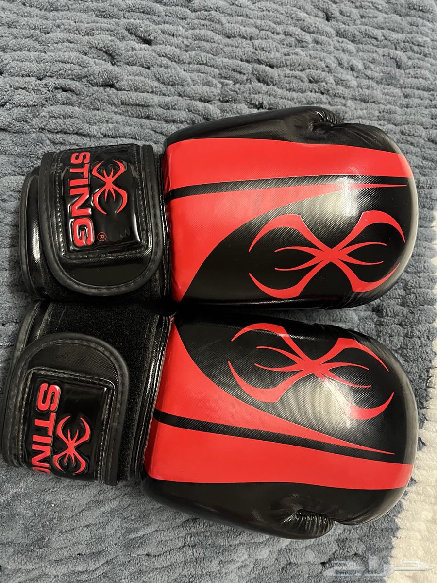 قفازات ملاكمة STING للبيع64344094233858110