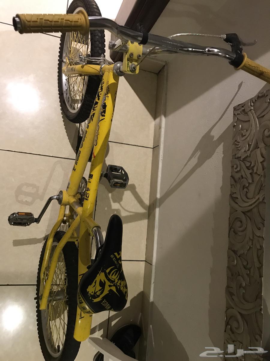 دراجة كوبرا صفراء اصليه64336410309763111