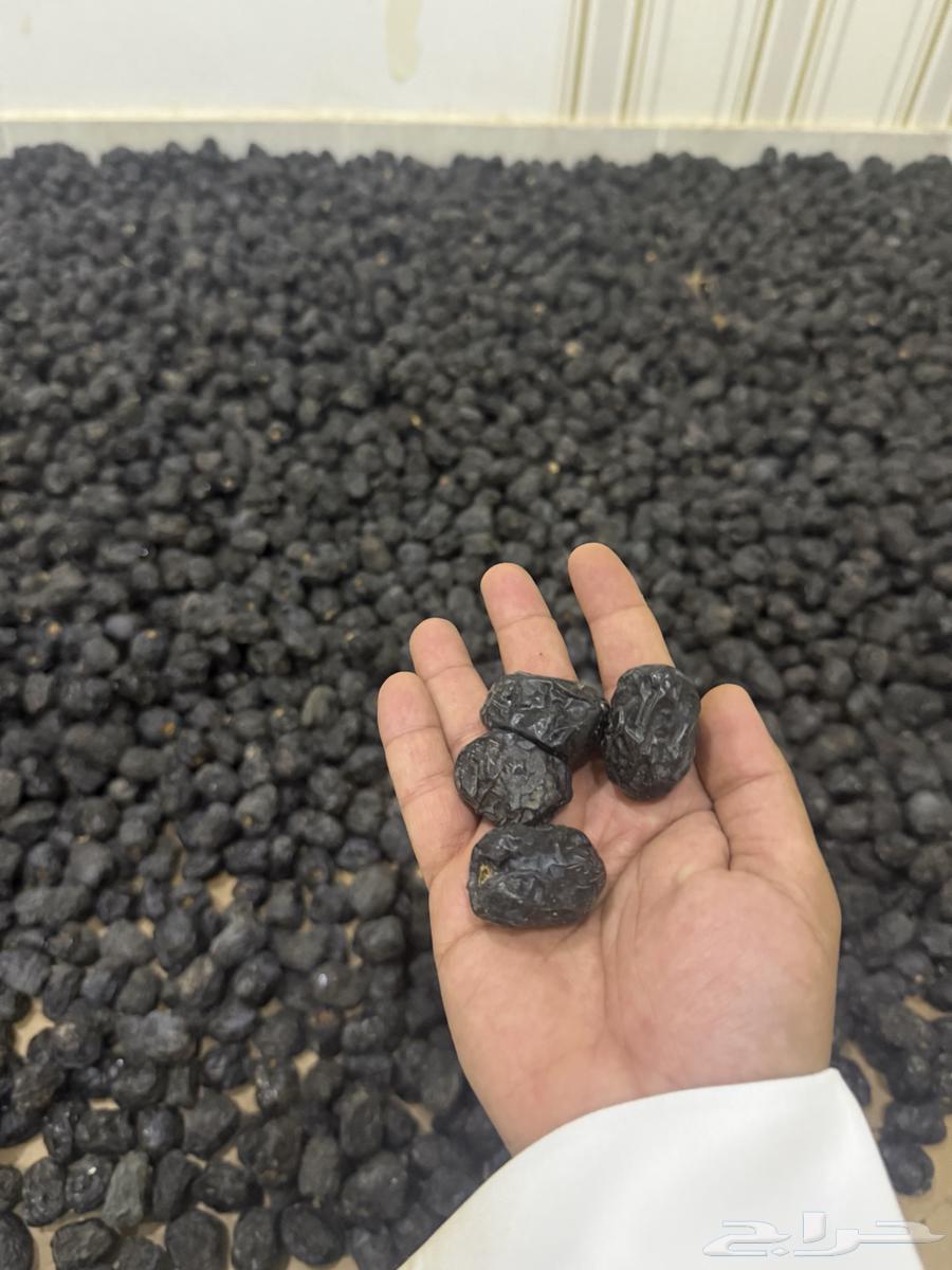 Ajwa Dates Ajwa64347222019587110