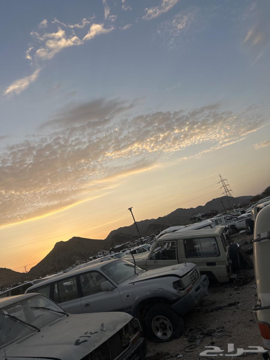 جميع قطع الجيوب هنا64490317081219111