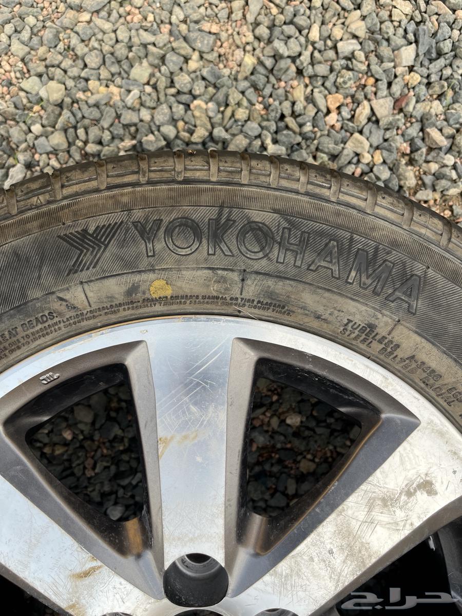 جنط و كفر بلاده يوكهاما مديل 1364489682991361111