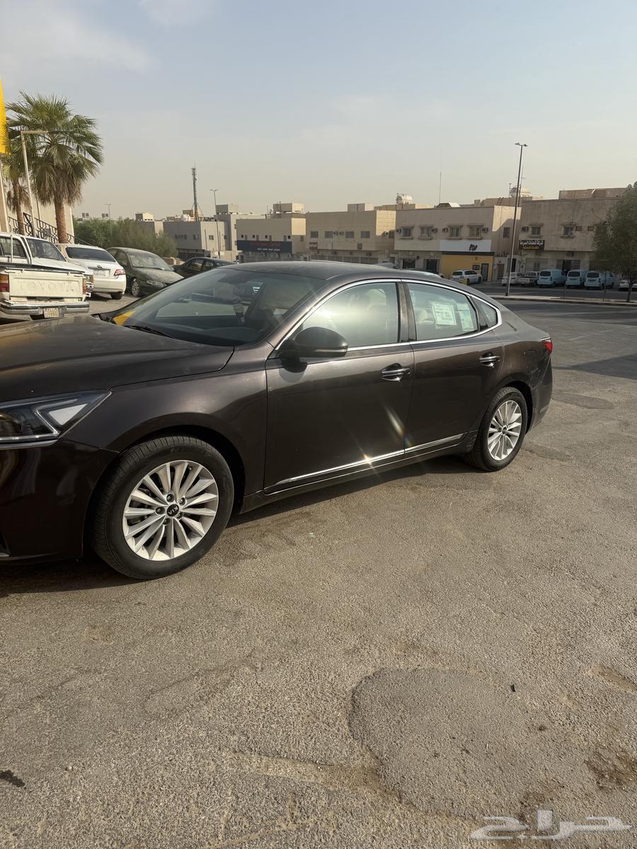 كادينزا ستاندر للبيع64481402805633111