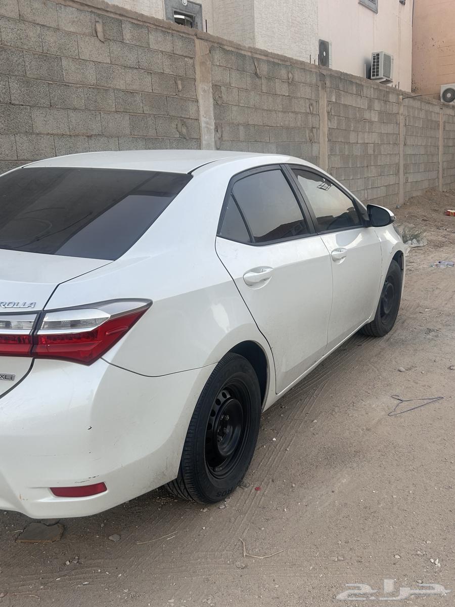 كورلا 2017 للبيع64480277251842111