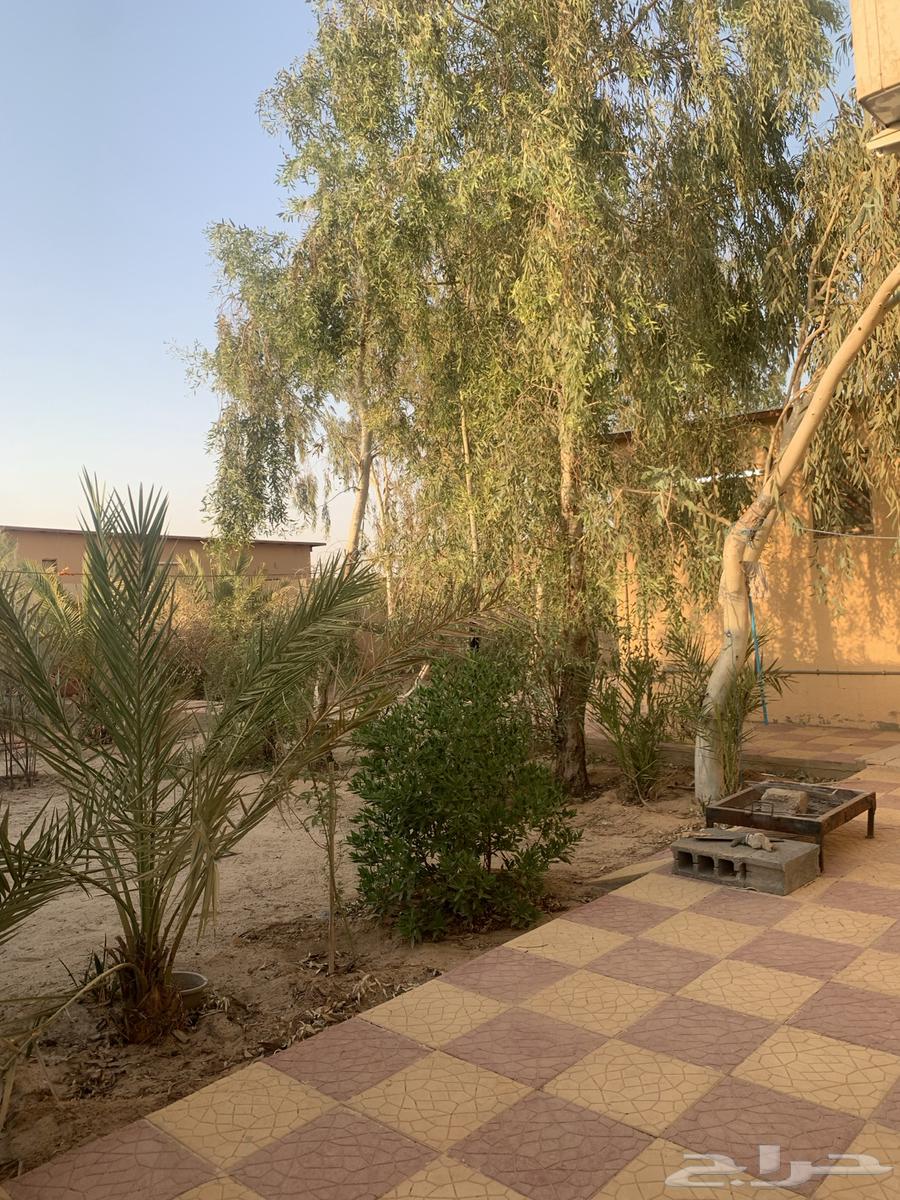 Rest area for rent636138492948511128