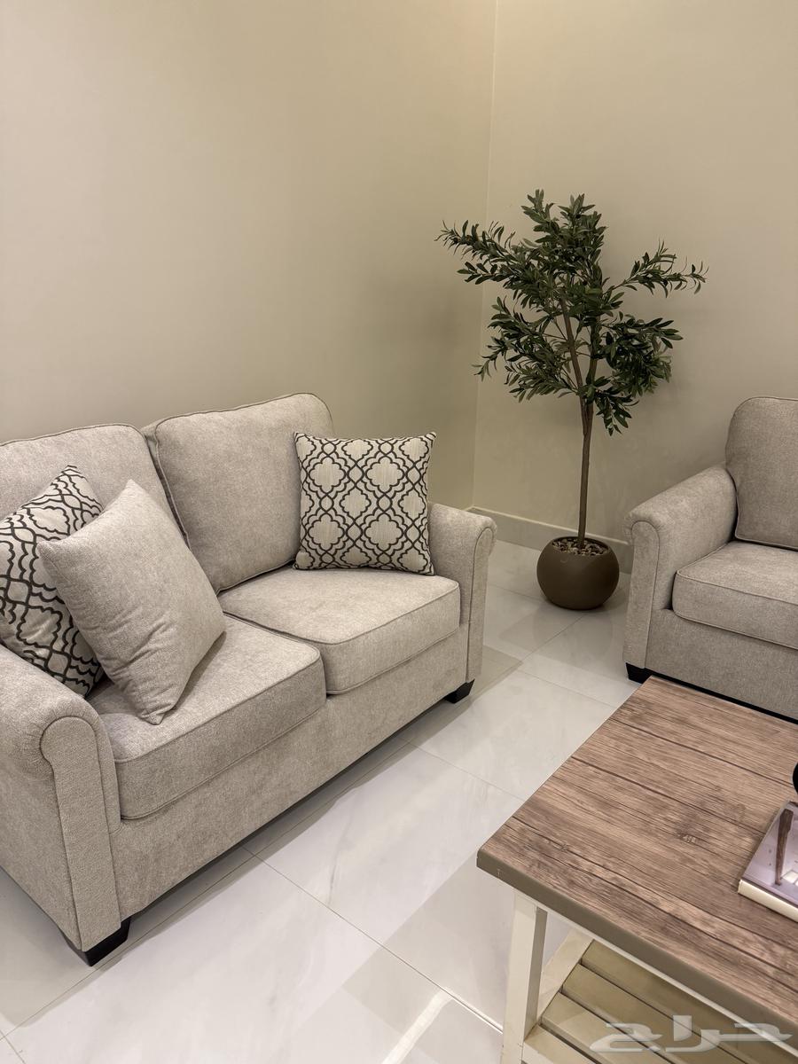 كنب امريكي من اشلي64345403673473110