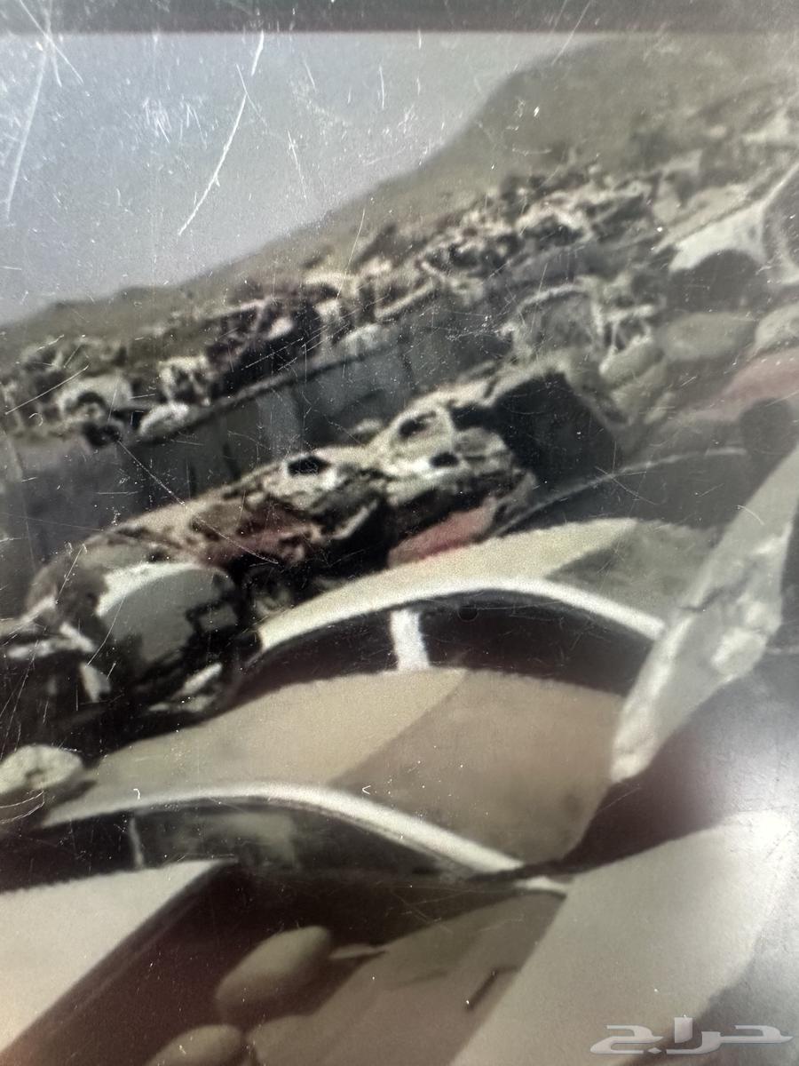 Scrap Agent for Al-Hayer and Al-Suli and Car Agencies64481433939585110