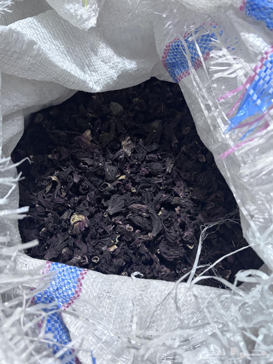 كركديه اصليي64348114780417111