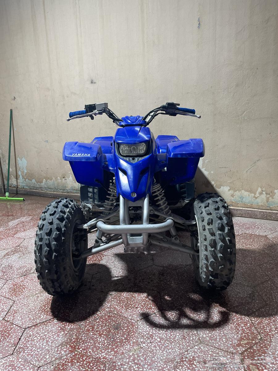 للبيع بانشي بلاستر 200 وكالة64492907402499112