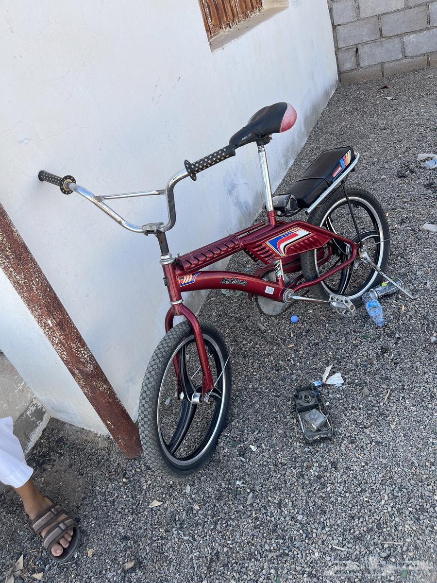 سيكل البيع عنابي استخدم شهرين مطره كل شي مزبوط64343012454146110