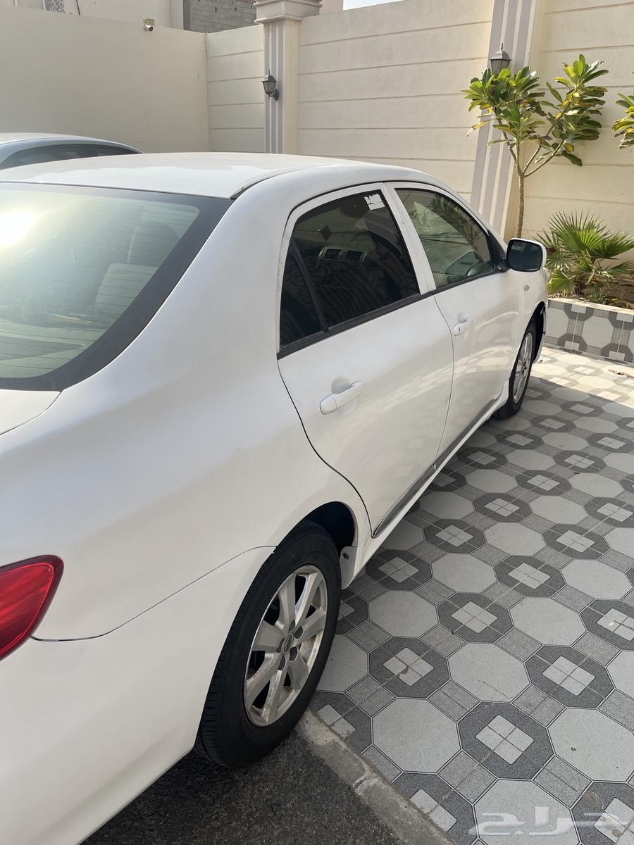 كوريلا 2012 للبيع64488629979394113